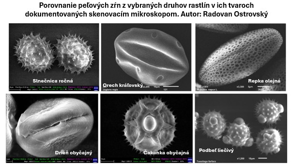 Záverečné rokovanie Koordinačnej rady projektu pre zriadenie ...