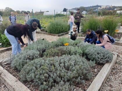 Interaktívna učebňa na FZKI prepája reálne výsadby s novými publikáciami
