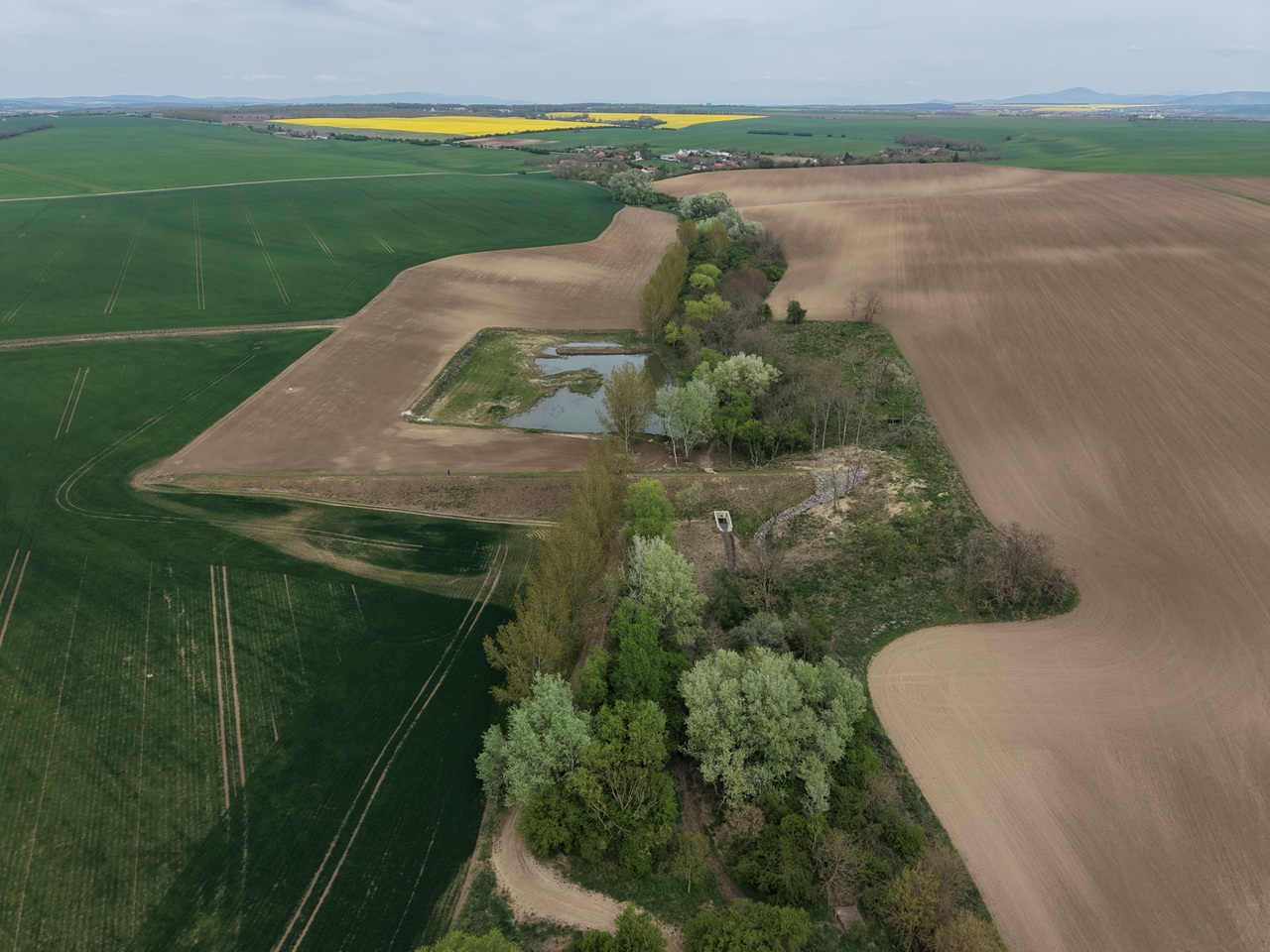 Krajinársky efekt pozemkových úprav