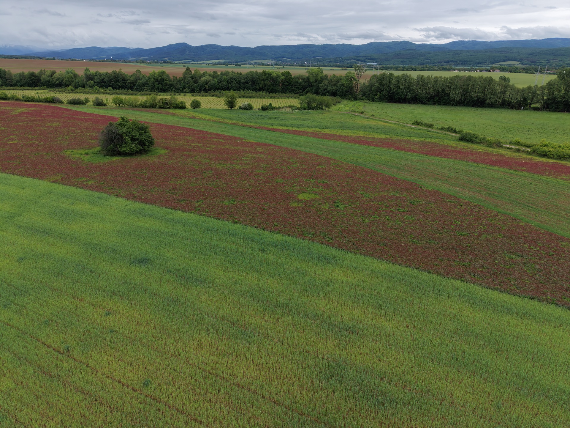 DJI_20260516111426_0147_D.JPG