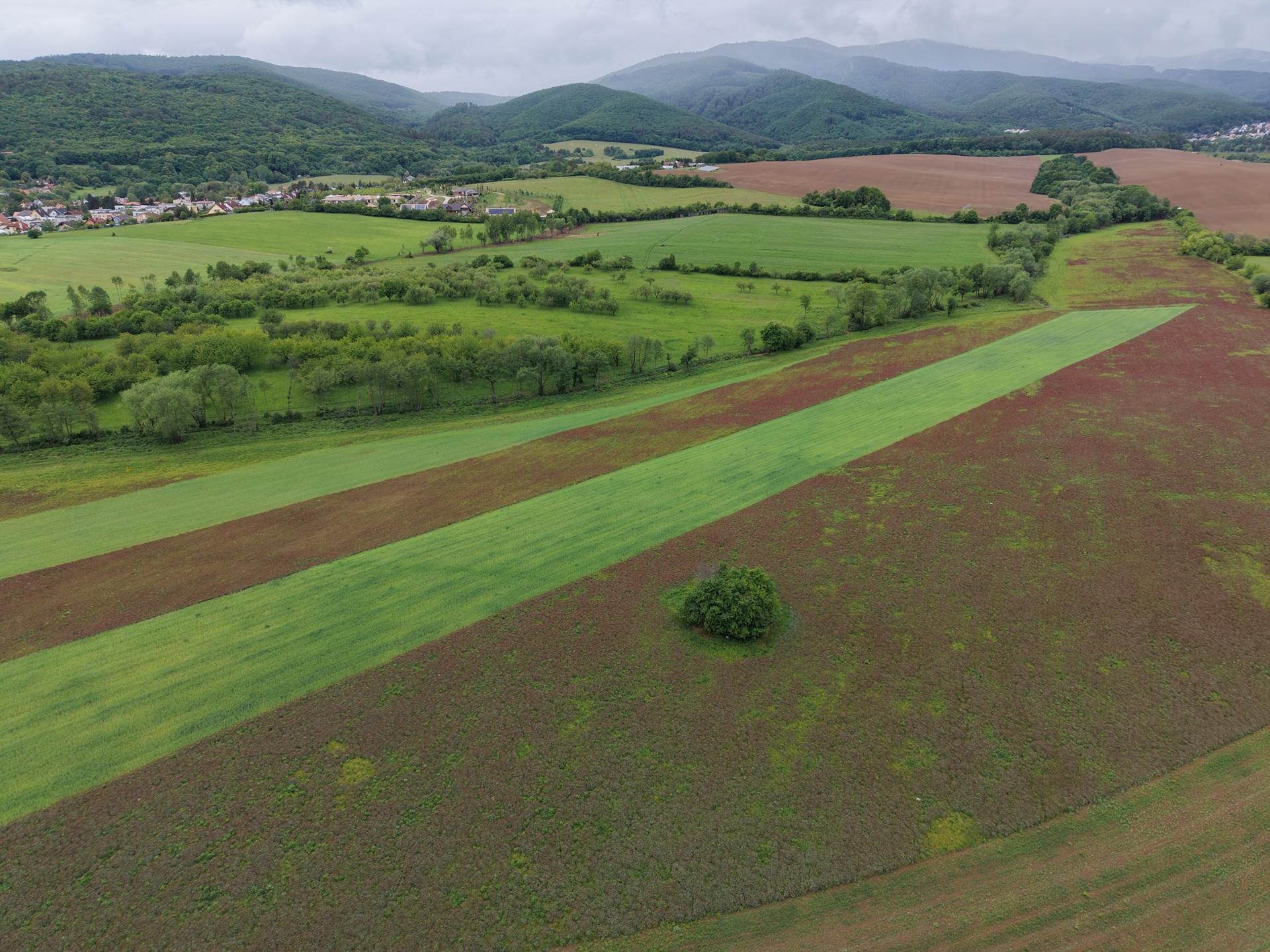 DJI_20260516111507_0153_D.JPG