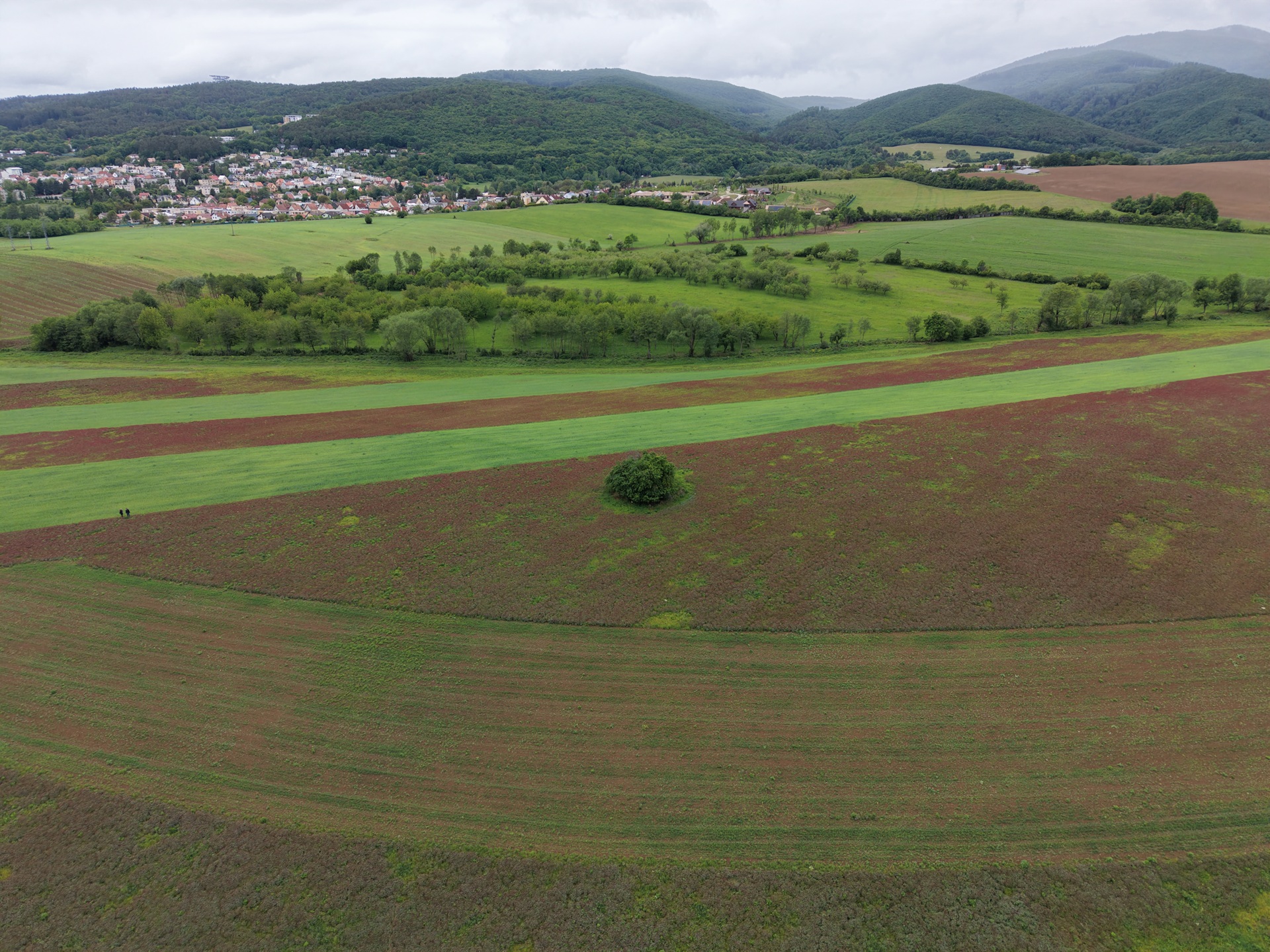 DJI_20260516111538_0157_D.JPG