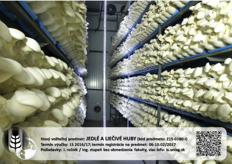 Predmet Jedlé a liečivé huby