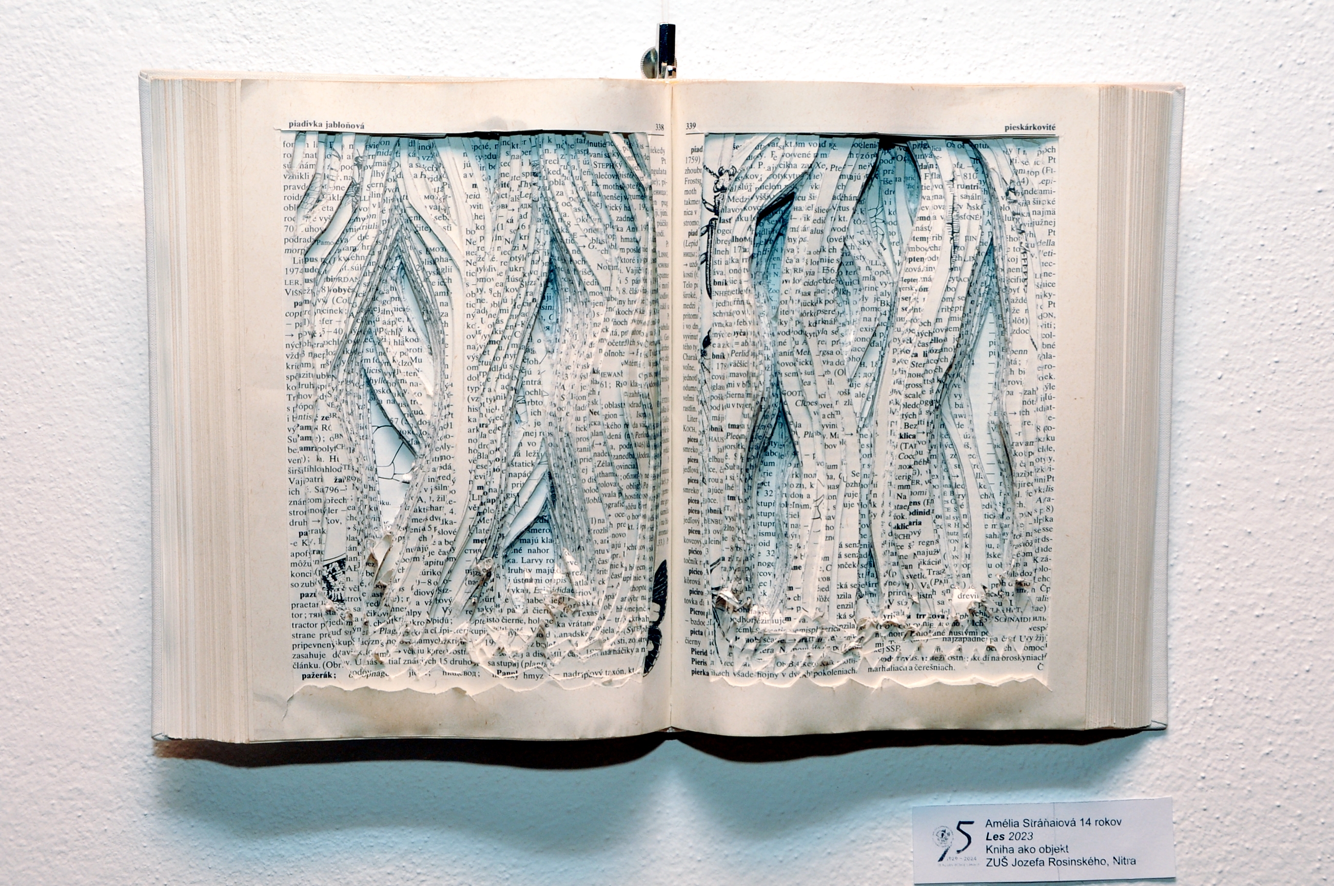 Tvorba z vyradených kníh - žiaci ZUŠ